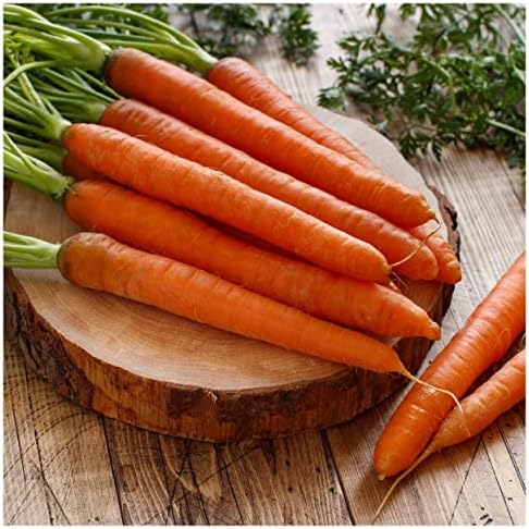 1 Lb Tendersweet Carrot Seeds - Gold Vault - Image 2