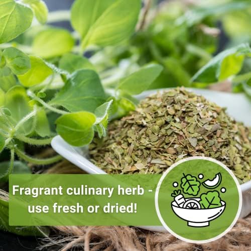 Sow Right Seeds - Oregano Seed for Planting a Perennial Herb Garden 4pk - Image 5