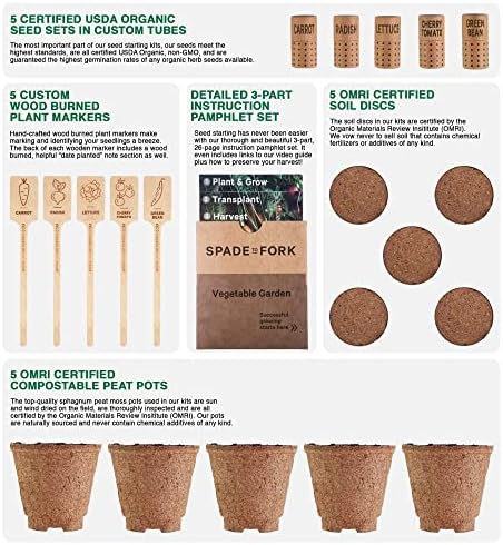 Organic Indoor Vegetable Garden Starter Kit - Made in USA - Certified USDA Organic - 5 Seed Types Cherry Tomato, Lettuce, Carrot, Radish, Green Bean | Indoor Plant Seeds, Indoor Garden Kit, Plant Kit - Image 2