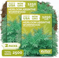 2,500 Wormwood Heirloom Herb Seeds for Planting, Artemisia Absinthium by KVITER