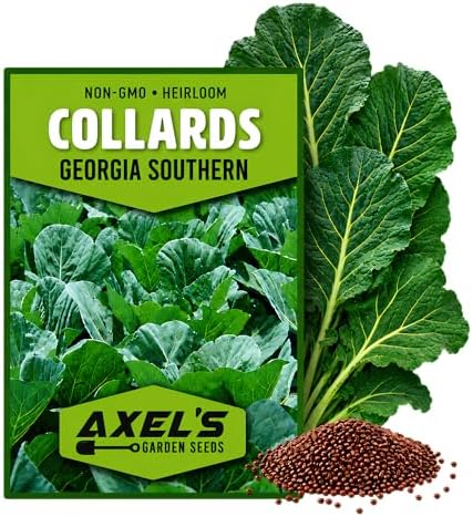 Bulk Collard Green Seeds for Planting - 1 Pound Over 128,000 Heirloom Non-GMO Georgia Southern Collard Seeds - Leafy Greens for Home Vegetable Garden - Image 2