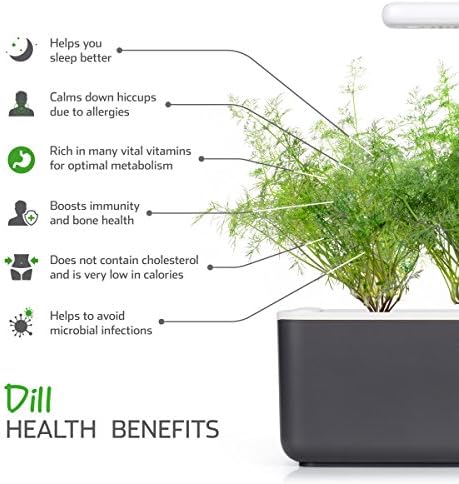 Click and Grow Smart Garden Dill Plant Pods, 3-Pack - Image 3