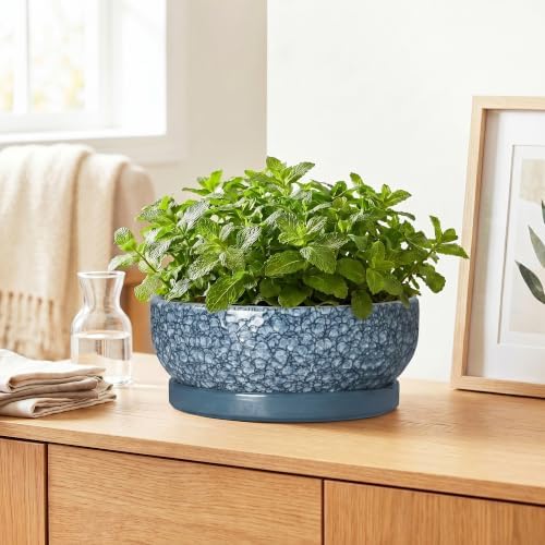 10 Inch Ceramic Bonsai Pots with Saucer, Scale Blue - Image 6
