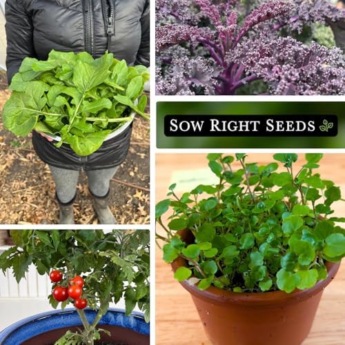 Sow Right Seeds - Hydroponic Vegetable Seeds for Planting - Lettuce, Kale, Arugula, Pak Choi, Watercress & Cherry Tomato Seeds for Planting and Growing Hydroponics - Perfect for Indoor Growing System - Image 4