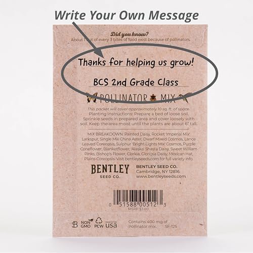 Bentley Wildflower Mix, Pre Filled Hummingbird Packets, 25 Annual Flower Packs, Perfect Eco-Friendly Gift for DIY Gardeners or New Homeowners, Non GMO Seeds - Image 4