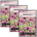 Sow Right Seeds - Purple Globe Amaranth Seed for Planting Gomphrena 3pk by SowRightSeeds