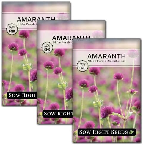 Sow Right Seeds - Purple Globe Amaranth Seed for Planting Gomphrena 3pk by SowRightSeeds