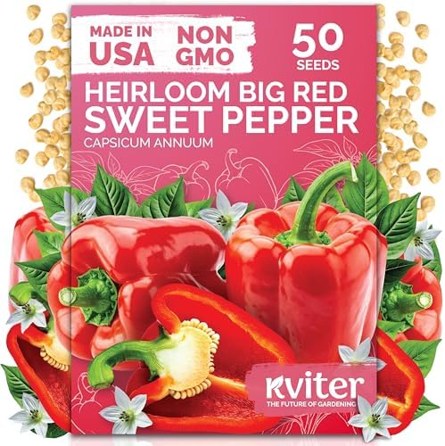 50 Big Red Bell Pepper Heirloom Vegetable Seeds, Capsicum Annuum by KVITER