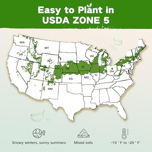 Zone 5 Seed Bank, 32 Types Heirloom Vegetables Herbs Seeds, Gardening Gifts - Image 2