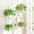 Plant Wall Hanger Holder Set of 2 for Indoor Outdoor, White by iDavosicly