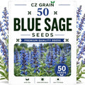 Garden Seeds for Planting, 50 Blue Sage by CZGrain