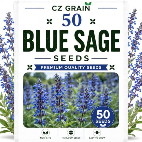 Garden Seeds for Planting, 50 Blue Sage by CZGrain