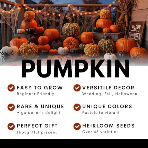 Bright and Colorful Pumpkin Patch Seeding Kit (20 Mixed Seeds) - Mix of Amazing Colors, Pink, Black, Blue, Orange White. Seeds for Planting - Image 4
