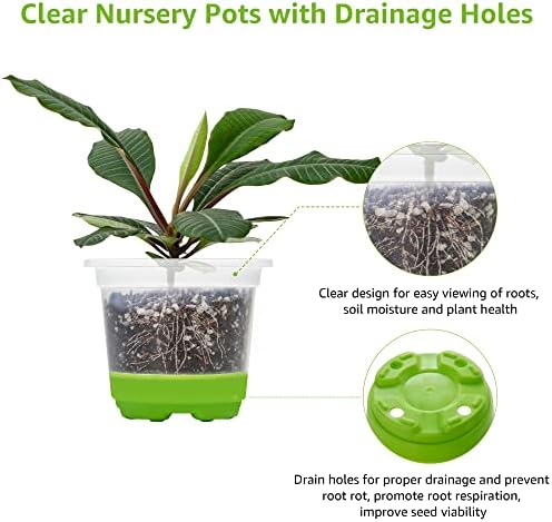 MIXC Clear Nursery Pots with Silicone Base, 4-Inch, 30-Pack - Image 5