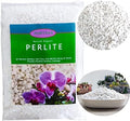 Natural Organic Perlite 2QT for Plants Potting Mix Indoor Outdoor Garden Soil Amendment for Enhanced Drainage, Seed Starter, Root Growth for Succulents, Cactus, Orchids, Money Trees, Vegetables (2QT) by RURTSVA