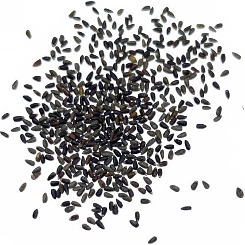 Seed Needs Blue Hyssop Seeds to Plant an Herb Garden - 1 Pack - Image 5