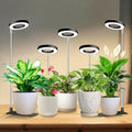 3.5in Halo Plant Lights for Indoor Growing, 48 LEDs Full Spectrum by HOME