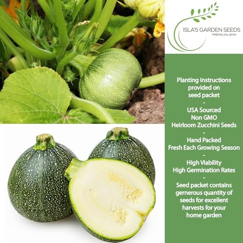 Round Zucchini Seeds (Cucurbita Pepo) – 40+ Non-GMO Heirloom Seeds for Planting, Also Known as Eight Ball Zucchini, Compact Bush Variety for Stuffing & Roasting, by Isla’s Garden Seeds, Gift Idea - Image 2