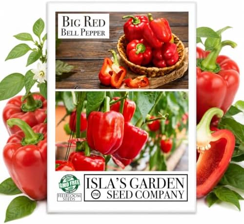 Big Red Bell Pepper Seeds (Capsicum annuum) – 50+ Non-GMO Heirloom Seeds by Isla’s Garden Seeds, Sweet & Crisp Large Peppers, High-Yield Warm-Season Variety for Garden Beds or Containers, Garden Gift by IslasGardenSeedsCompany