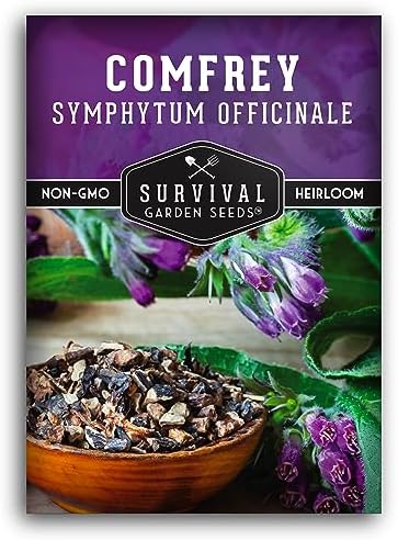 Comfrey Seeds - Symphytum Officinale - Perennial Medicinal Herb (1 Pack) by SurvivalGardenSeeds