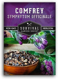 Comfrey Seeds - Symphytum Officinale - Perennial Medicinal Herb (1 Pack) by SurvivalGardenSeeds