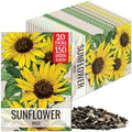 Seed Needs Wild Sunflower Seeds to Plant Cut Flowers - 20 Packs by SeedNeeds