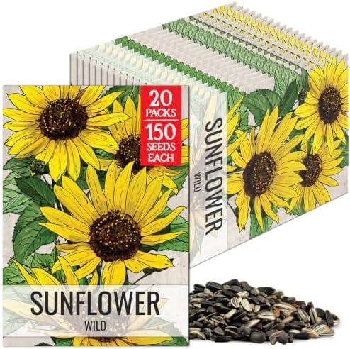 Seed Needs Wild Sunflower Seeds to Plant Cut Flowers - 20 Packs by SeedNeeds