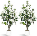 UPBUD Artificial Camellia Tree 2 Pack, 43.3" Tall Fake Camellia Plant by UPBUD