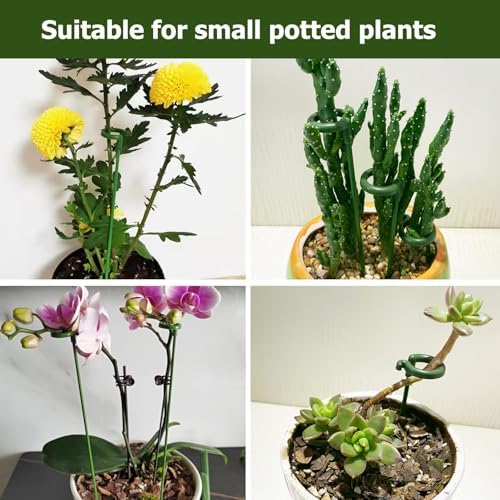 Pack of 30 Small Plant Stakes for Indoor Plants 6.7 Inches - Image 6