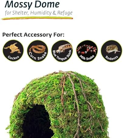 Galapagos (05366 Mossy Dome Hide, 6 in, Galápagos Green - Image 5