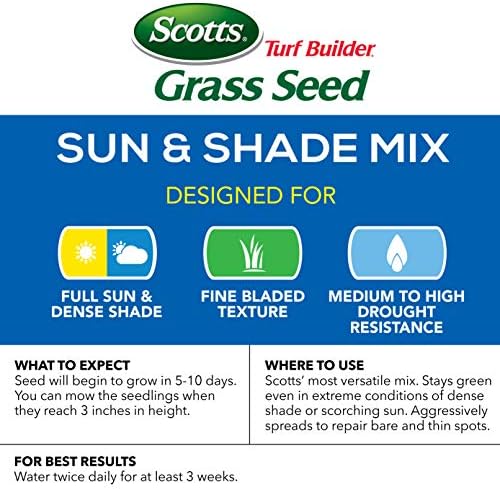 Scotts Turf Builder Grass Seed Sun & Shade Mix, Grows in Extreme Conditions & Spreads for a Durable Lawn, 7 lbs. - Image 6