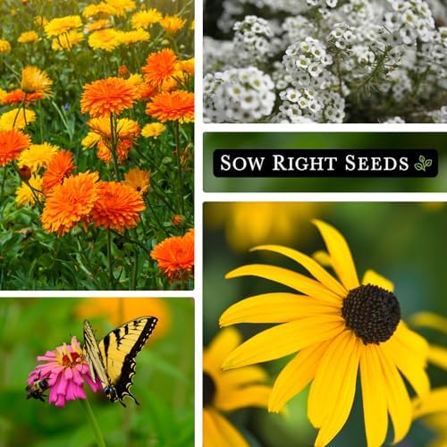 Sow Right Seeds - Large Flower Seed Collection for Planting Home Garden - Image 3