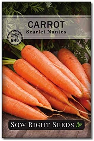 Sow Right Seeds - Scarlet Nantes Carrot Seed for Planting Baby Carrots by SowRightSeeds