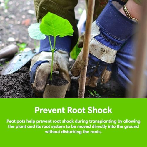 Seed Starter Kit - 10 Peat Pots, Coco Coir Discs & Markers - Image 4
