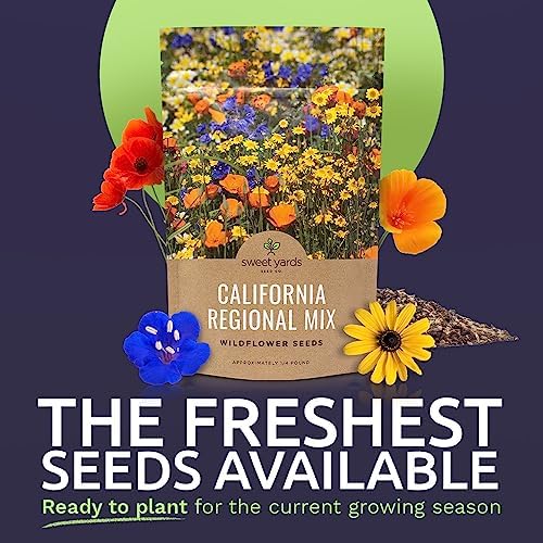 California Wildflower Mixture - Bulk 1/4 Pound Bag - Over 30,000 Native Seeds - Open Pollinated and Non GMO - Image 2