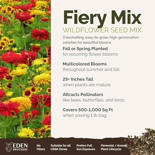 Eden Brothers Fiery Flower Mixed Seeds for Planting, 1 lb, 480,000+ Seeds with Zinnia Scarlet Flame, Plains Coreopsis | Attracts Pollinators, Plant in Spring or Fall, Zones 3, 4, 5, 6, 7, 8, 9, 10 - Image 2