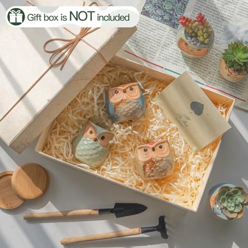 T4U Owl Succulent Pots, Mini Ceramic Gift Pots with Drainage, Retro 6 Pack - Image 5