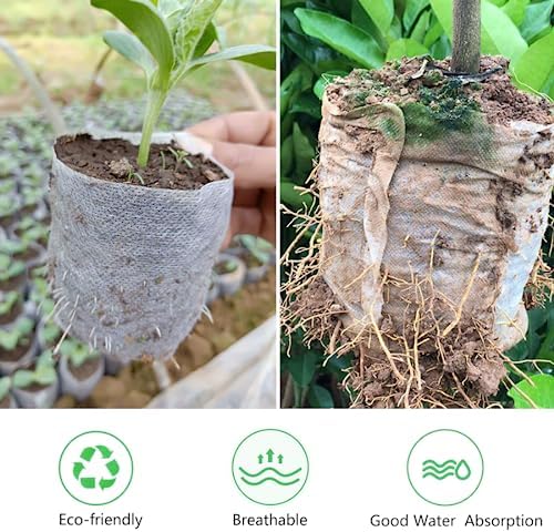 Belit 50 Pcs Non-Woven Plant Nursery Bags, Seedling Pots Container for Vegetable, Flower, Plant Grow (9.1"x9.3") - Image 2