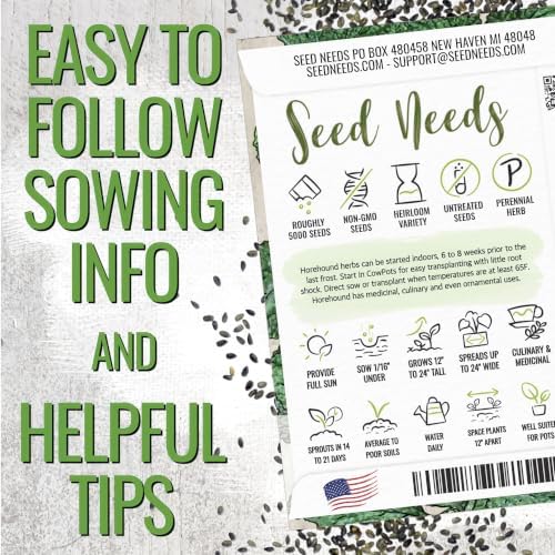 Seed Needs Horehound Seeds to Plant Non-GMO Heirloom Medicinal Herb XL Pack - Image 4