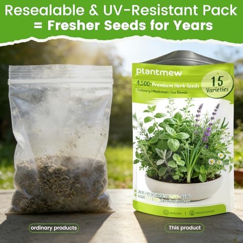 Herb Seeds 15-Pack – 4,500+ Heirloom Seeds for Planting – Indoor & Outdoor Herb Garden Kit with Basil, Cilantro, Rosemary, Thyme, Dill, Sage – Medicinal & Culinary Herb Seeds Variety Pack - Image 6
