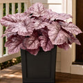 Fall Artificial Foliage Plants Faux Coral Bells Greenery for Outdoor Porch by KAFDY