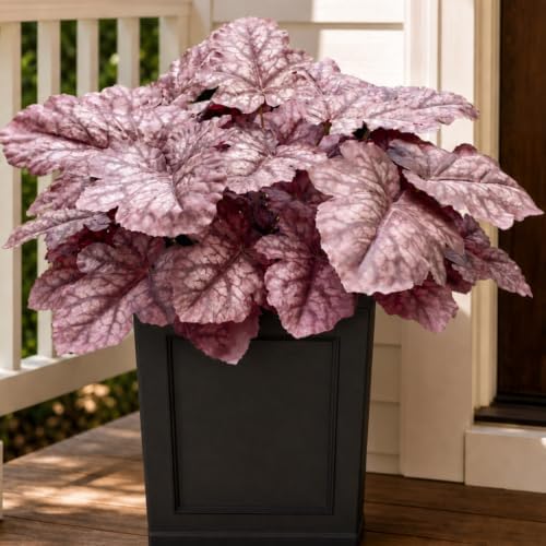 Fall Artificial Foliage Plants Faux Coral Bells Greenery for Outdoor Porch by KAFDY