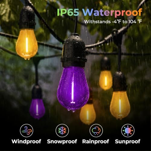 GvvooHome 24 Pack S14 Orange and Purple Light Bulbs for String Lights - Image 3