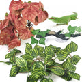 KATUMO 3PCS Reptile Plants, Terrarium Plant Artificial Decor, Fake Plant by KATUMO