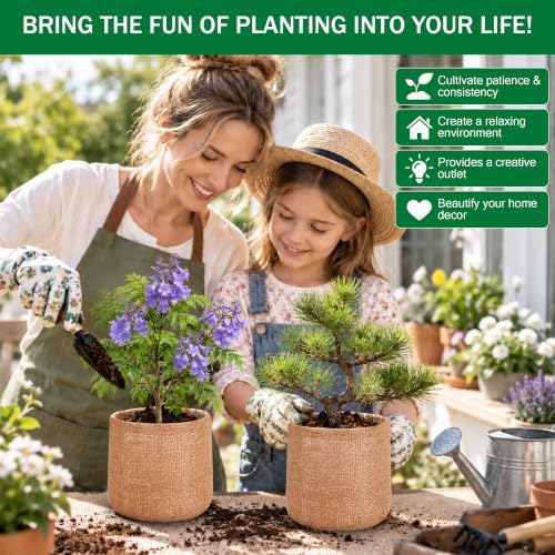 Bonsai Tree Growing Kit for Beginners, 3 Seed Varieties, - Image 6