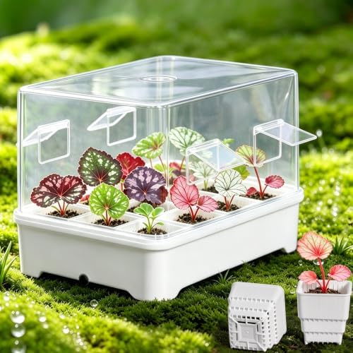 Seed Starter Tray Kit with Adjustable-Vent Humidity Dome & Air‑Pruning Cells, Reusable Plant Germination Trays with Superior Air & Drainage, Removable Cells for Flexible Transplanting, 12‑Cell by Meshpot