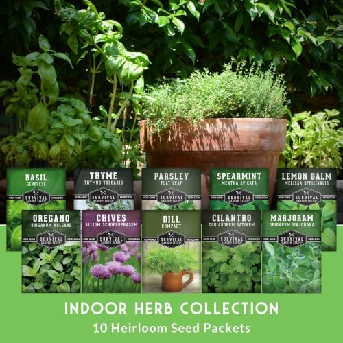 Indoor Herb Seeds Variety Pack - 10 Herbs for Planting - Image 5