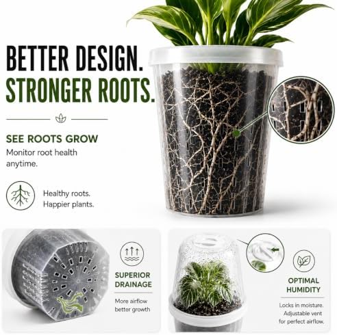 Tissue Culture Starter Kit, Self Watering Pots for Indoor Plants, TC Soil Kit with Volcanic Soil & Perlite, Clear Plant Pots with Drainage, TC Acclimation Kit, Potting Mix for Tissue Culture Plants - Image 6