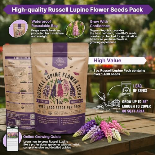 Russell Lupine Seeds 1oz Over 1,400 Non-GMO Heirloom Lupine Seeds for Planting, Prennial Flowers in Individual Packet, Planting Home Garden Indoor & Outdoor Gardening - Image 2
