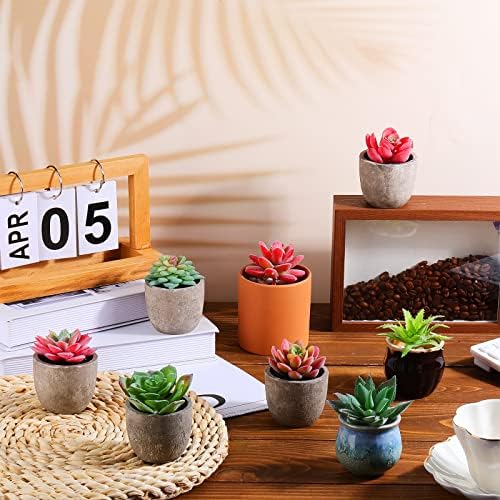 WILLBOND 50 Pcs 50 Pcs Bulk Mini Artificial Succulents Plants, Normal Style - Image 4